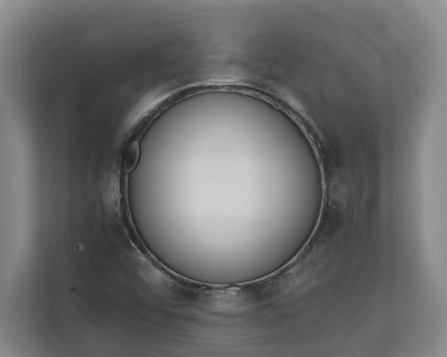 X0000111141456200907071039