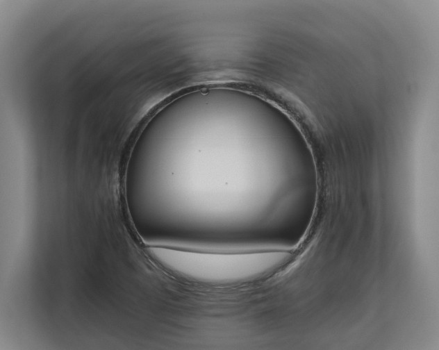 X0000111141457200907071039