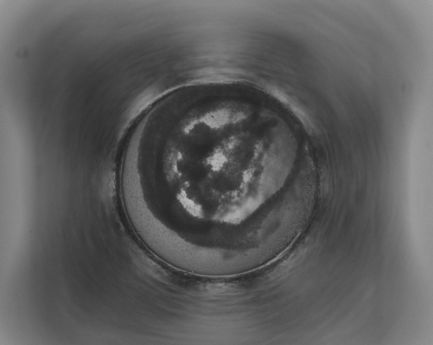 X0000111141459200907071039