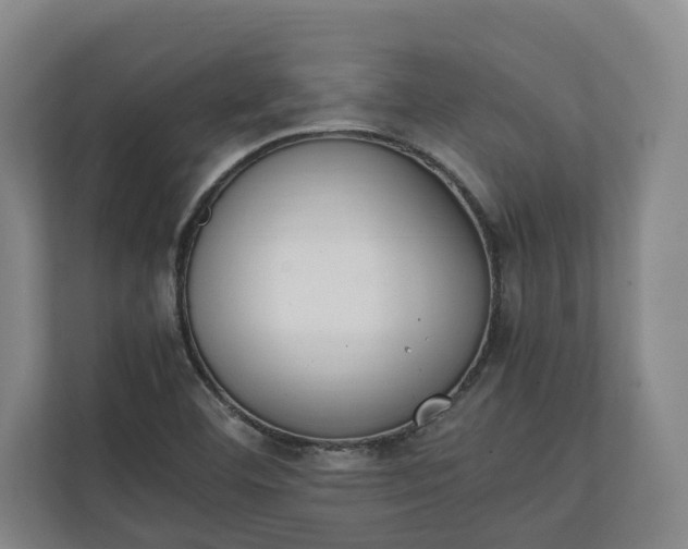 X0000111141460200907071039