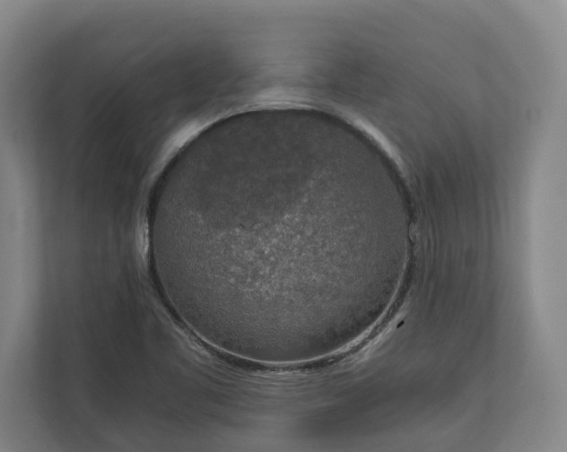 X0000111141461200907071039