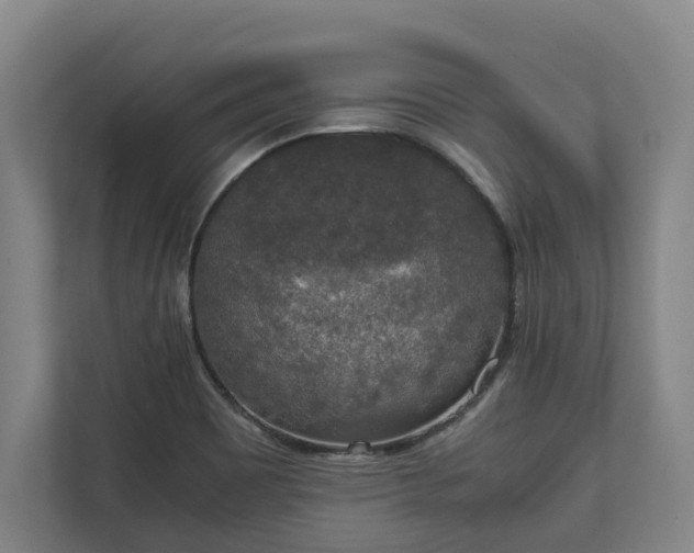 X0000111141465200907071039