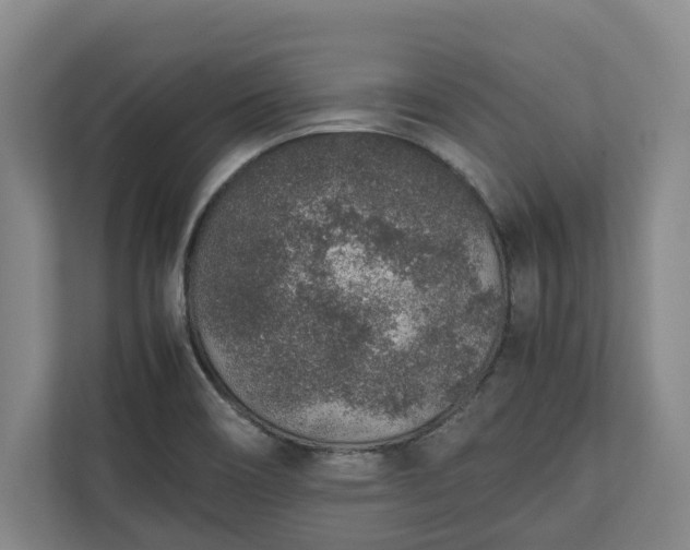 X0000111141466200907071039