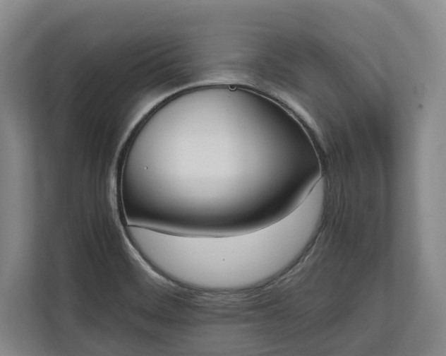 X0000111141468200907071039