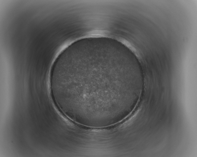 X0000111141469200907071039