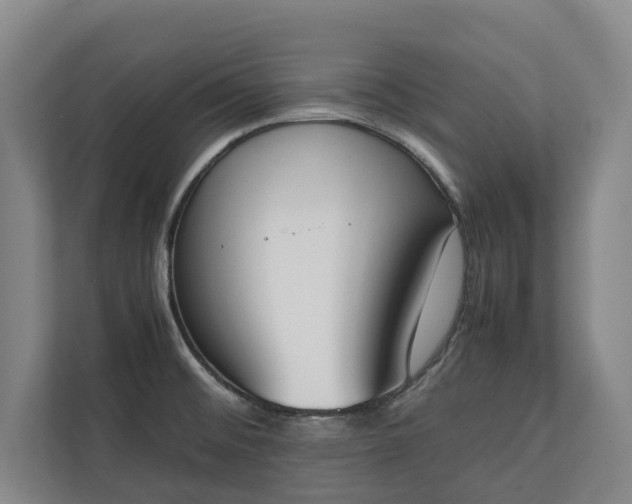 X0000111141476200907071039