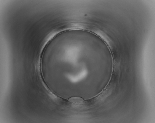 X0000111141477200907071039