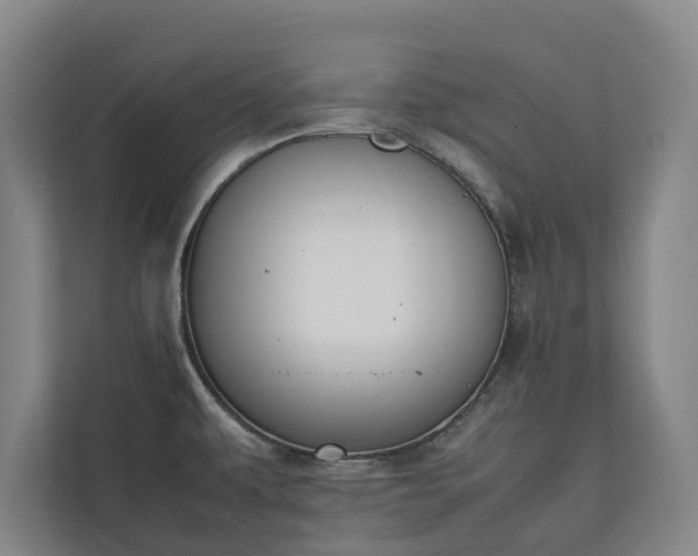 X0000111141479200907071039