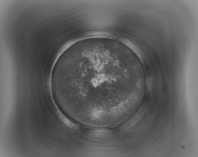 X0000111141482200907071039