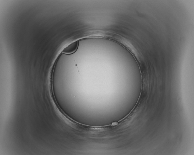 X0000111141483200907071039