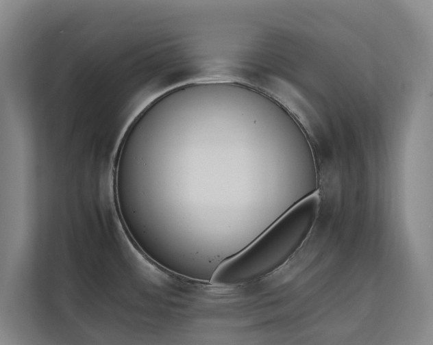 X0000111141484200907071039