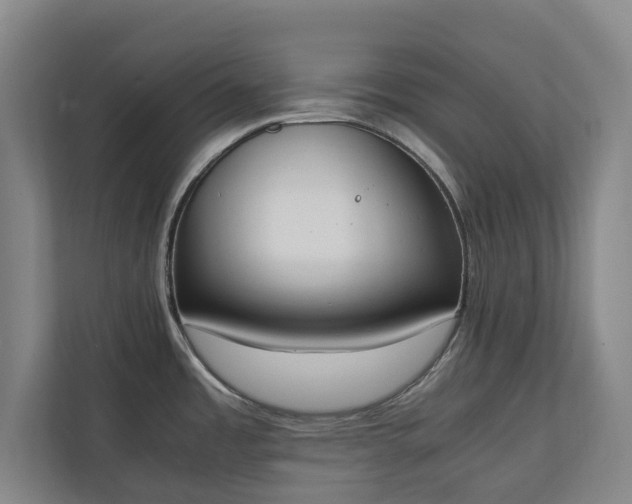 X0000111141485200907071039