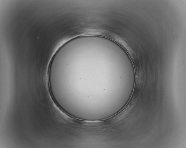 X0000111141487200907071039