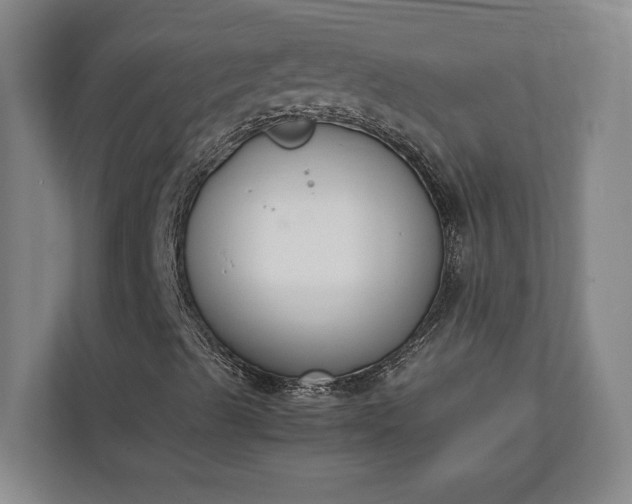 X0000111141489200907071038