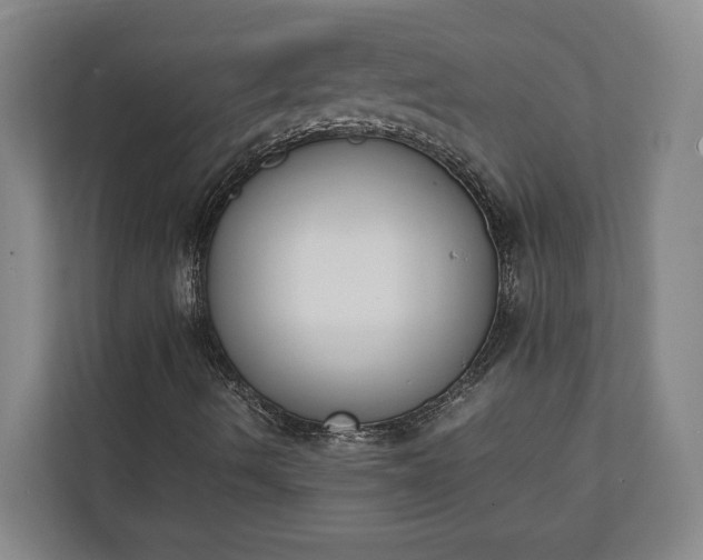 X0000111141490200907071038