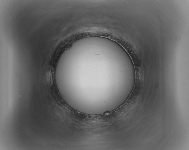 X0000111141493200907071038