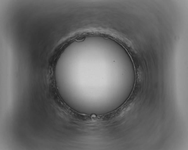 X0000111141494200907071038