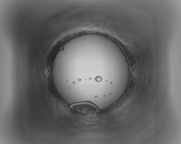 X0000111141495200907071038