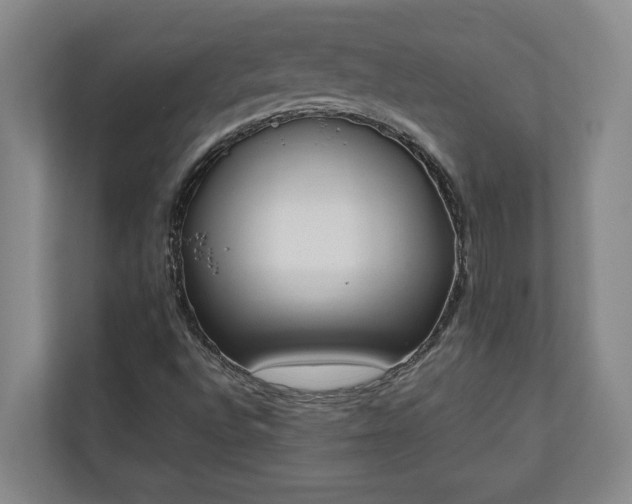 X0000111141496200907071038