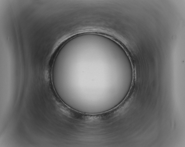 X0000111141501200907071038