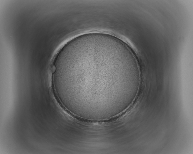 X0000111141504200907071038