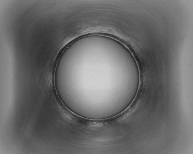 X0000111141505200907071038