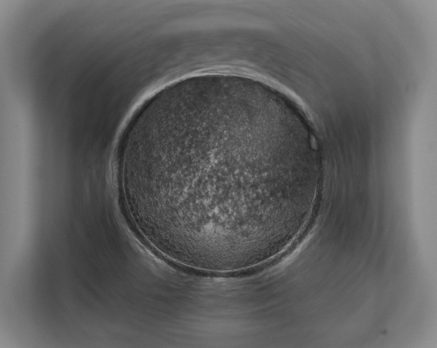 X0000111141506200907071038