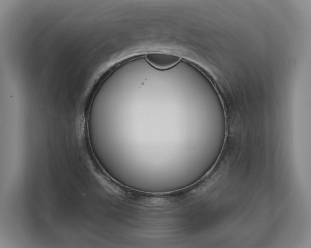 X0000111141507200907071038