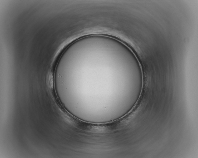 X0000111141509200907071038