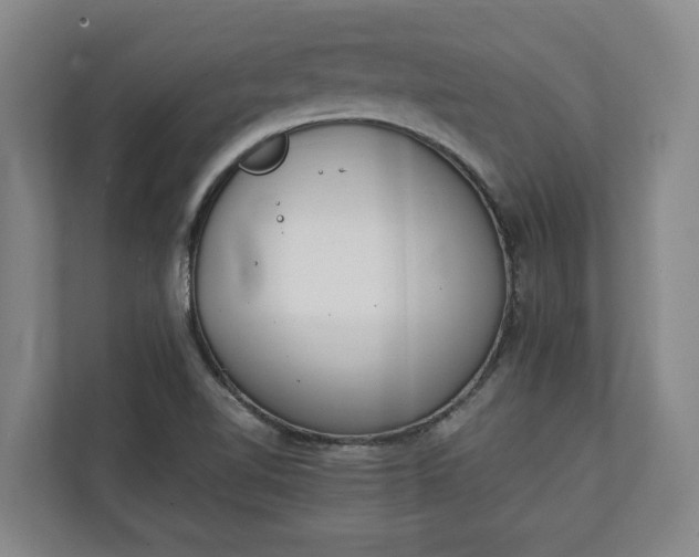 X0000111141510200907071038