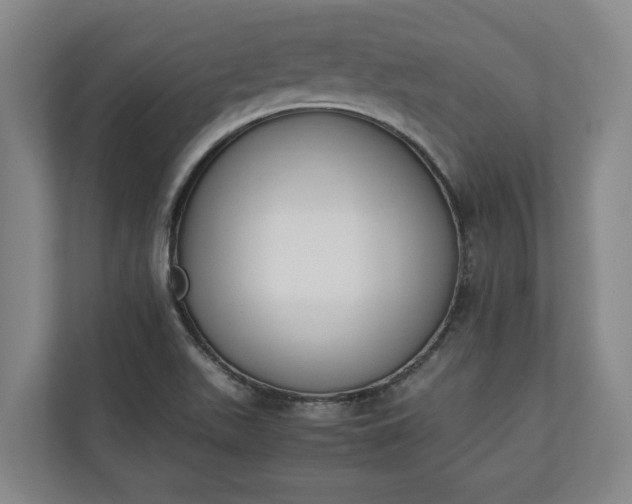 X0000111141511200907071038