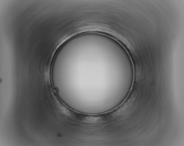 X0000111141513200907071038