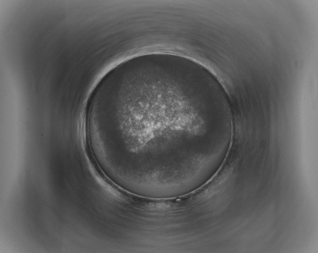 X0000111141515200907071038