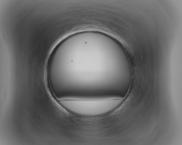 X0000111141518200907071038