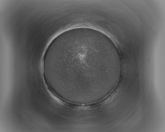 X0000111141519200907071039