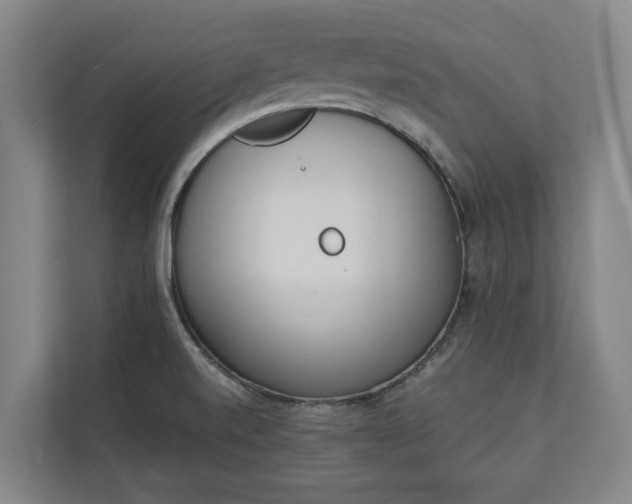 X0000111141520200907071039