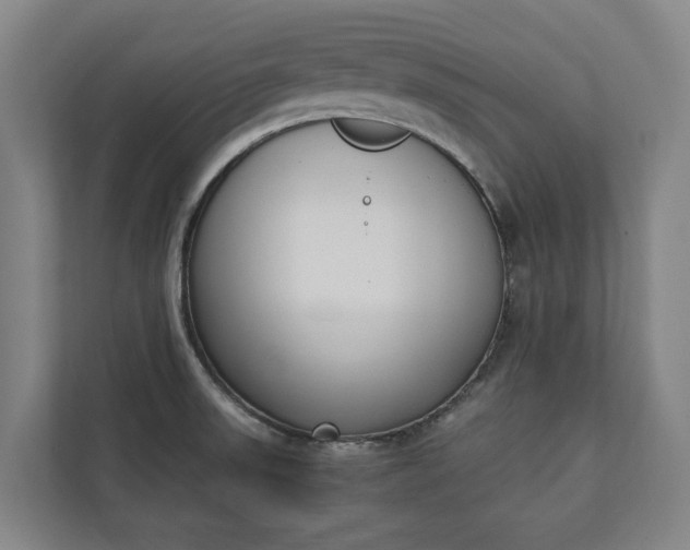 X0000111141523200907071039