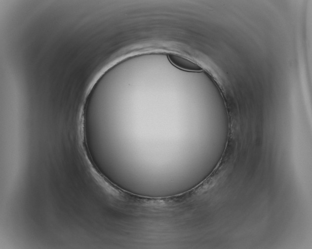 X0000111141524200907071039