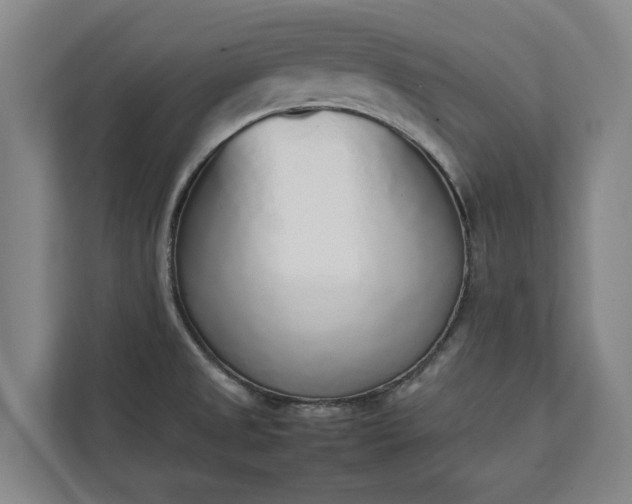 X0000111141525200907071039