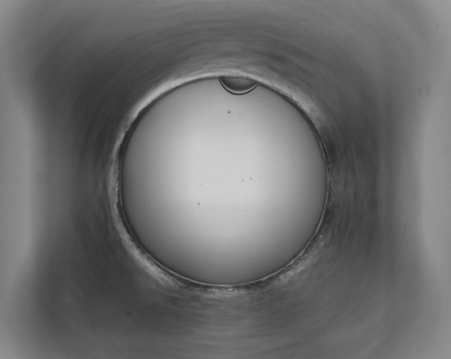 X0000111141526200907071039