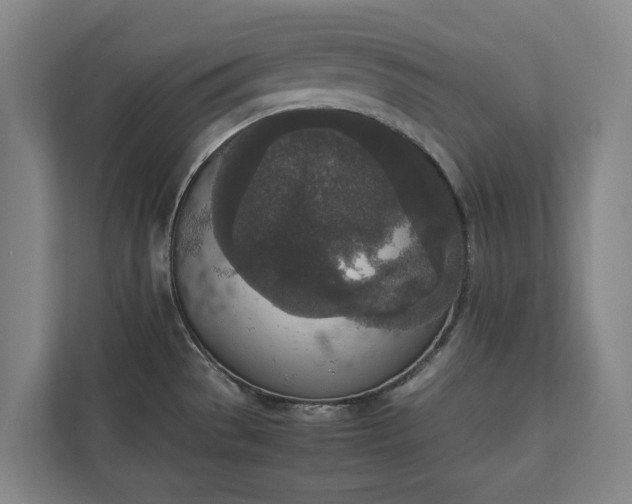 X0000111141529200907071039