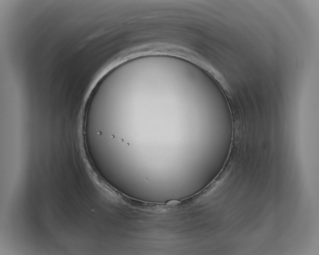 X0000111141530200907071039