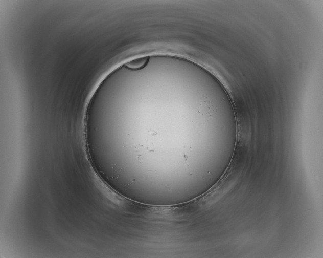 X0000111141532200907071039