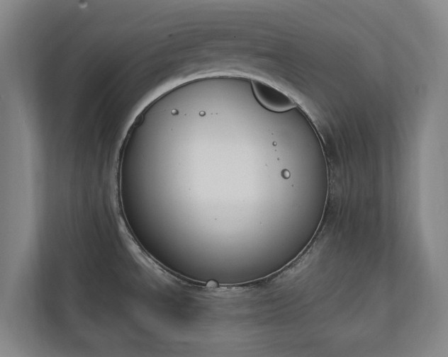 X0000111141534200907071039