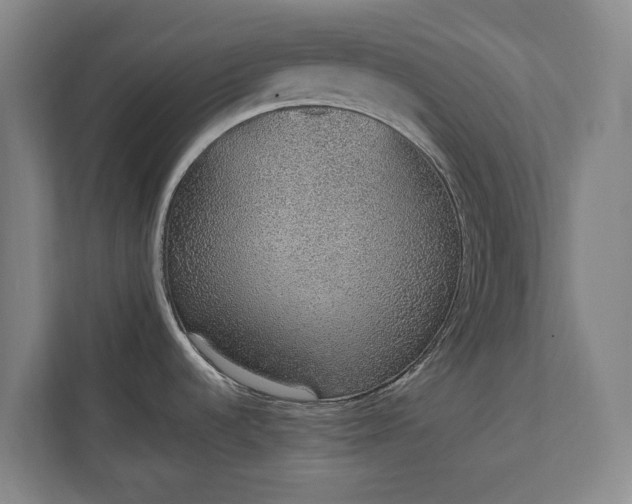 X0000111141536200907071039