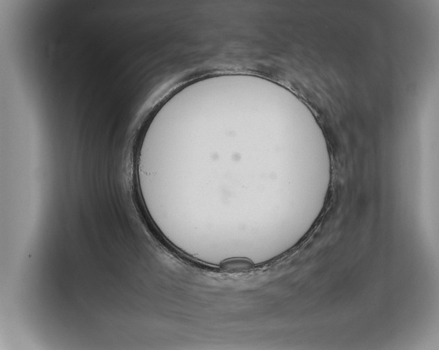 X0000111140005200907141331