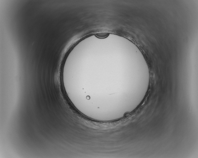 X0000111140006200907141331