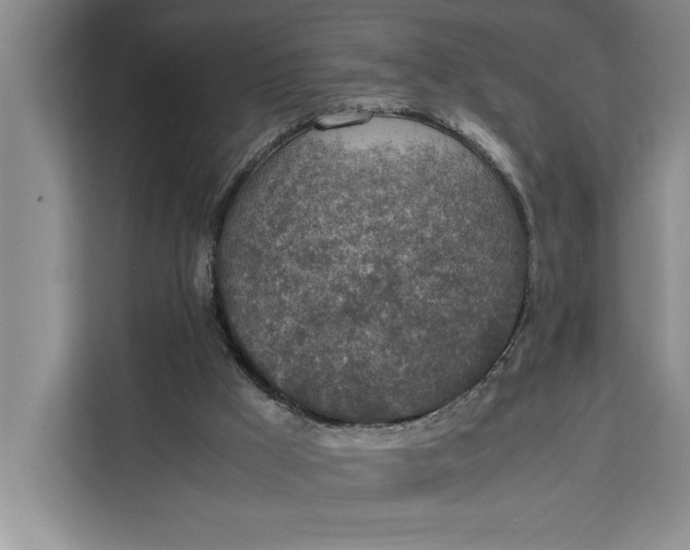 X0000111140009200907141330