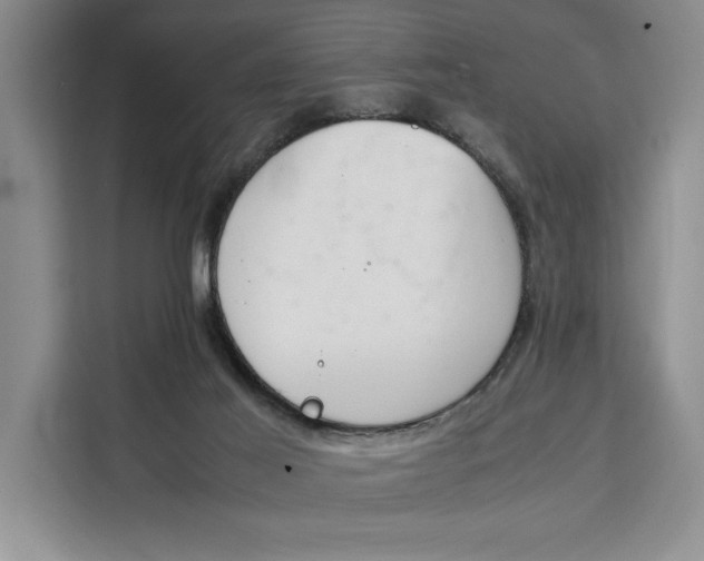 X0000111140021200907141330