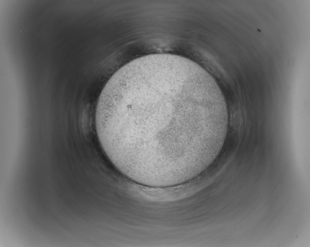 X0000111140030200907141330